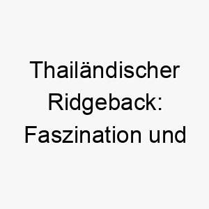 thailaendischer ridgeback faszination und geheimnisse einer einzigartigen hunderasse 29614