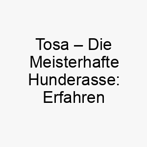 tosa die meisterhafte hunderasse erfahren sie alles wissenswerte 29620