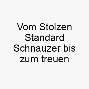 vom stolzen standard schnauzer bis zum treuen begleiter alles ueber diese faszinierende hunderasse 29607