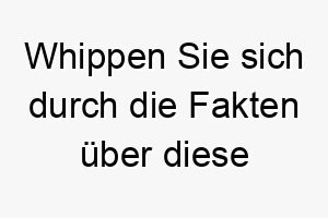 whippen sie sich durch die fakten ueber diese faszinierende hunderasse 29690