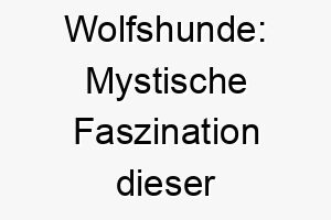 wolfshunde mystische faszination dieser einzigartigen hunderasse 29693