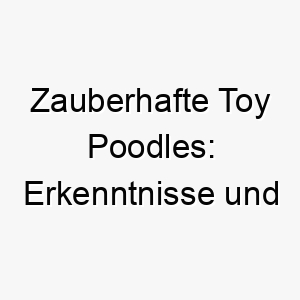 zauberhafte toy poodles erkenntnisse und faszination dieser rasse 29623