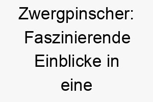 zwergpinscher faszinierende einblicke in eine fabelhafte hunderasse 29697